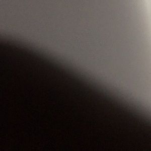 Meet your Posher, Delores